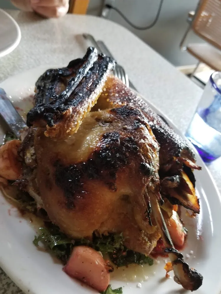 Duck